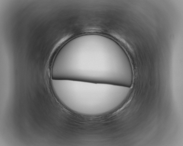 X0000113011317200908270932