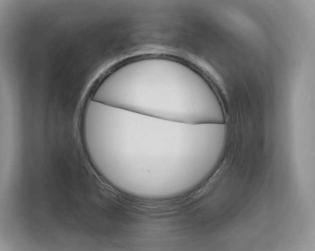 X0000113011318200908270932