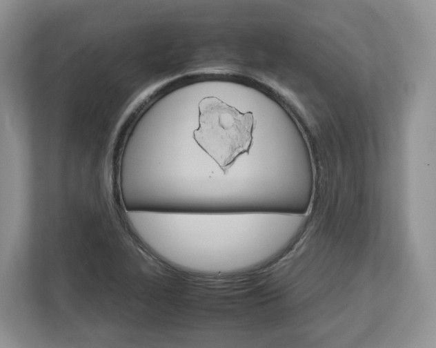 X0000113011319200908270932