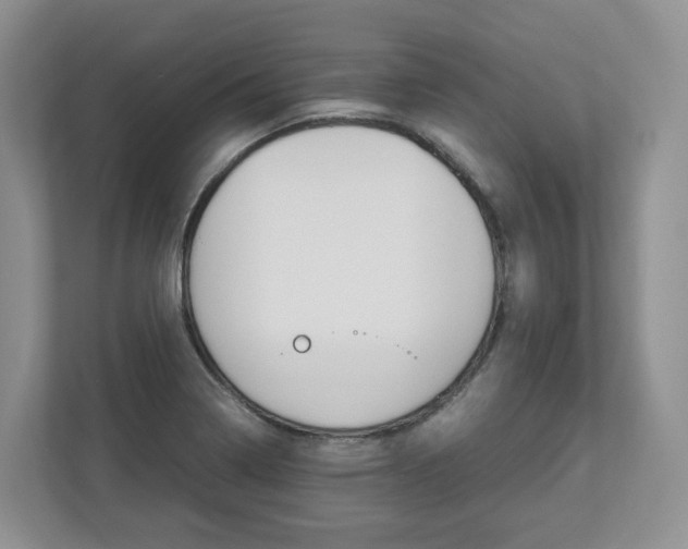 X0000113011322200908270932