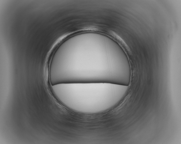 X0000113011323200908270932