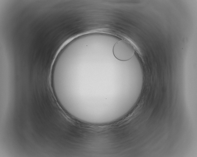 X0000113011324200908270932