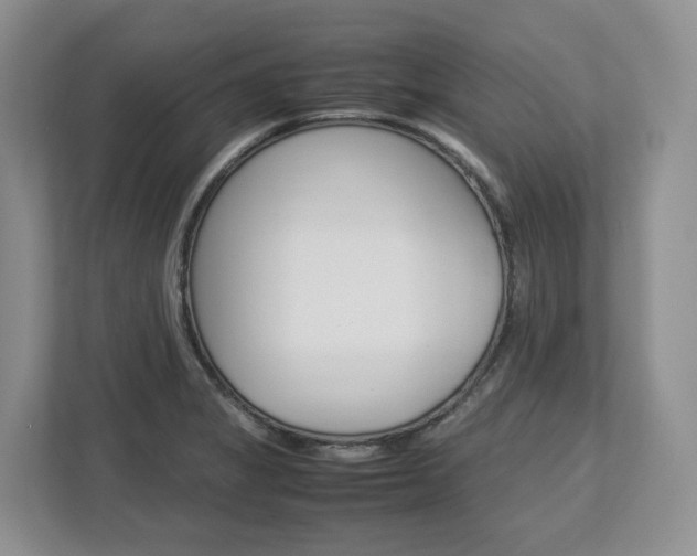 X0000113011325200908270932