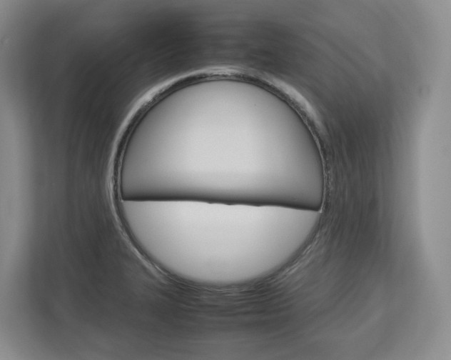 X0000113011327200908270932