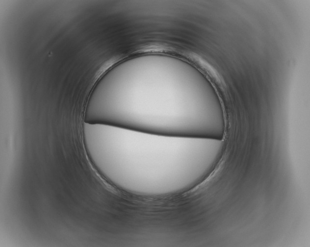 X0000113011329200908270932