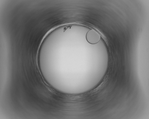 X0000113011332200908270932