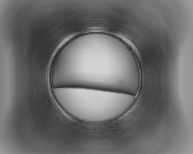 X0000113011333200908270932
