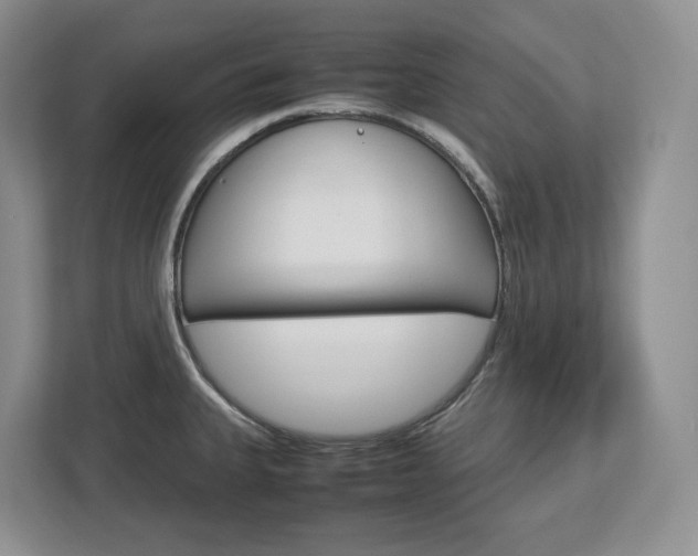 X0000113011335200908270932