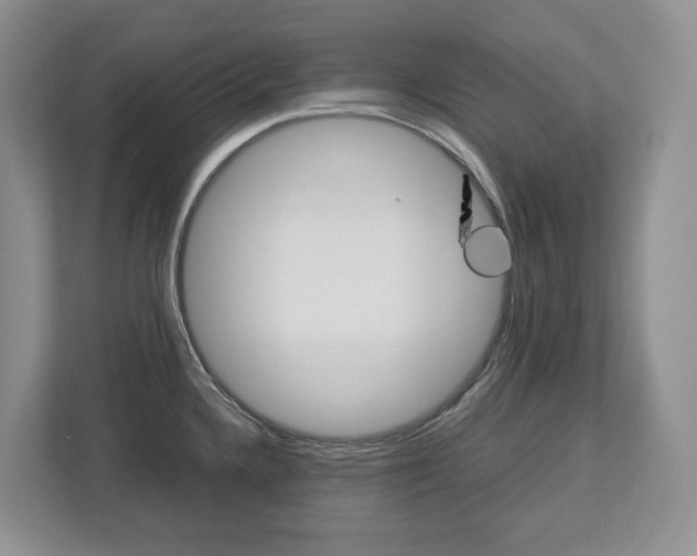 X0000113011336200908270932