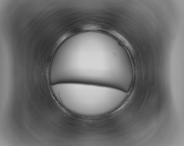 X0000113011337200908270932