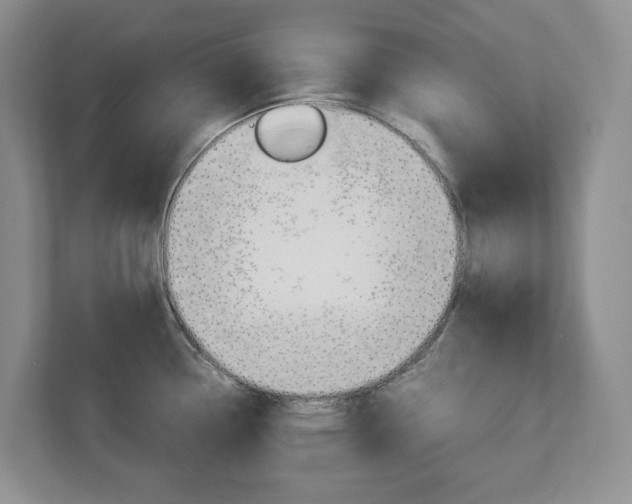 X0000113011338200908270932
