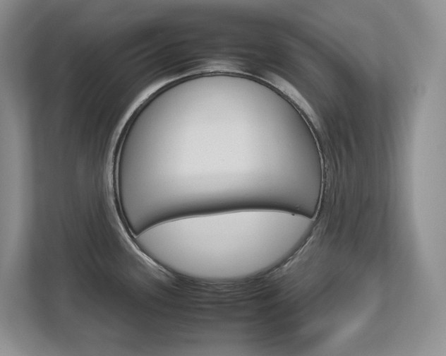 X0000113011339200908270932