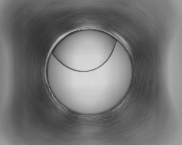 X0000113011340200908270932