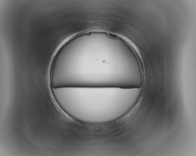 X0000113011341200908270932