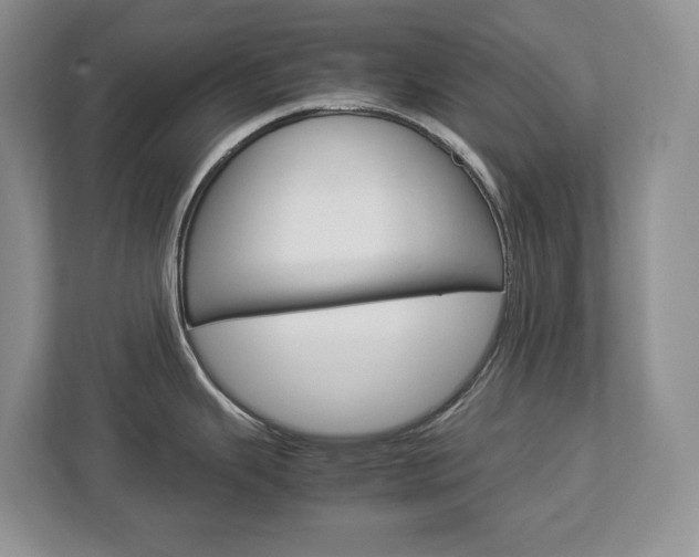 X0000113011343200908270932