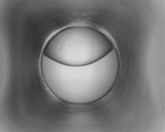 X0000113011344200908270932