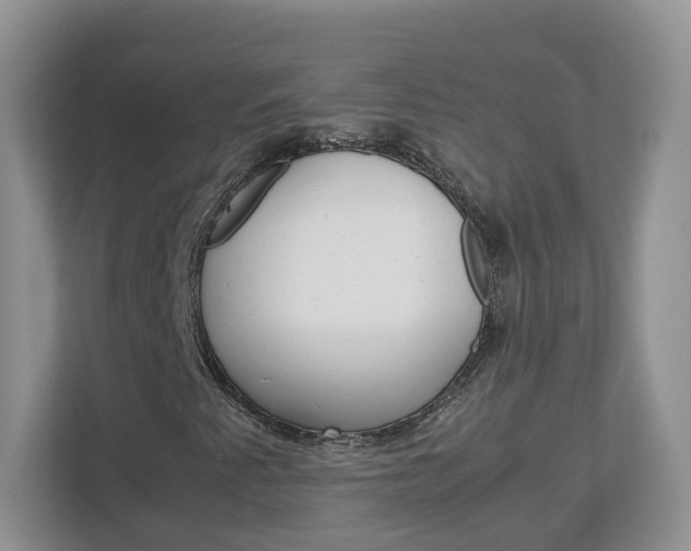 X0000113011345200908270931