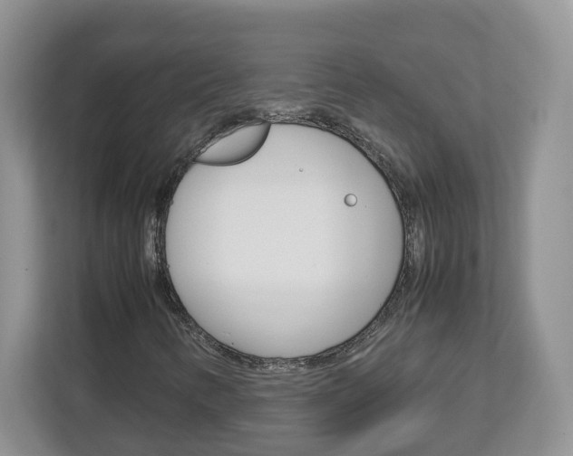 X0000113011346200908270931