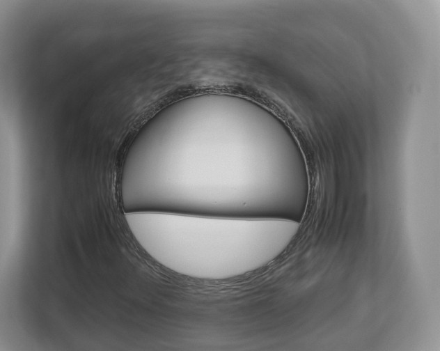 X0000113011348200908270931