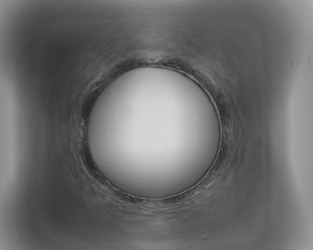 X0000113011349200908270931