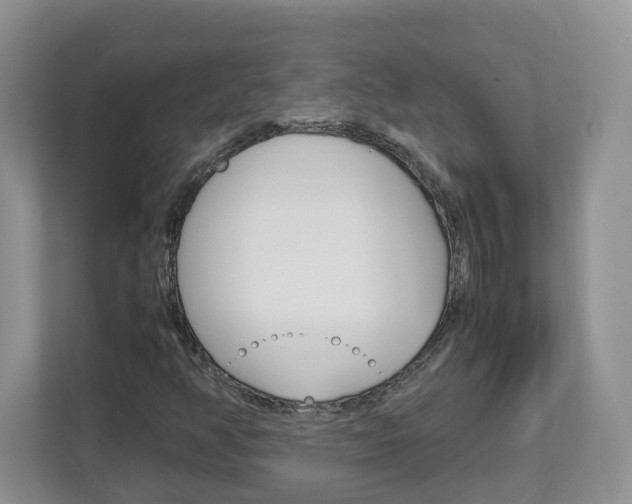 X0000113011350200908270931