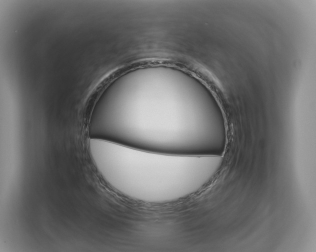 X0000113011352200908270931