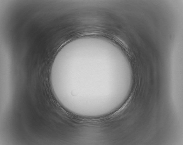 X0000113011353200908270931