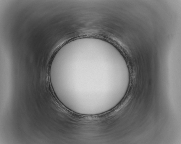 X0000113011354200908270931