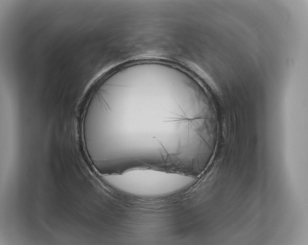 X0000113011356200908270931