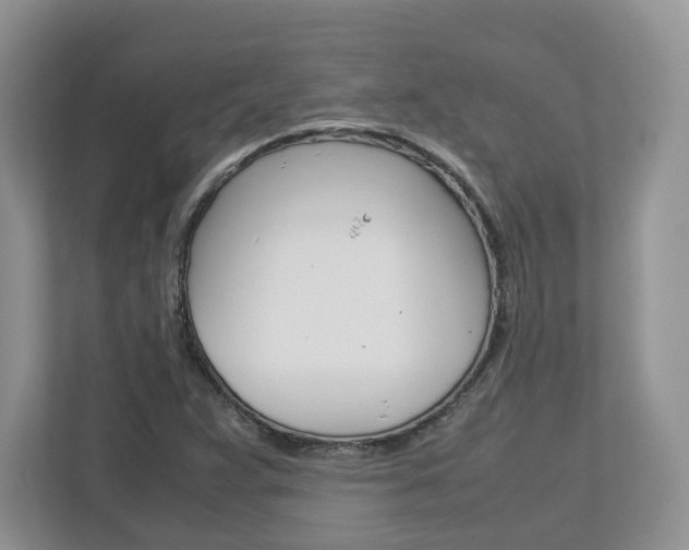 X0000113011359200908270931
