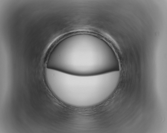 X0000113011360200908270931