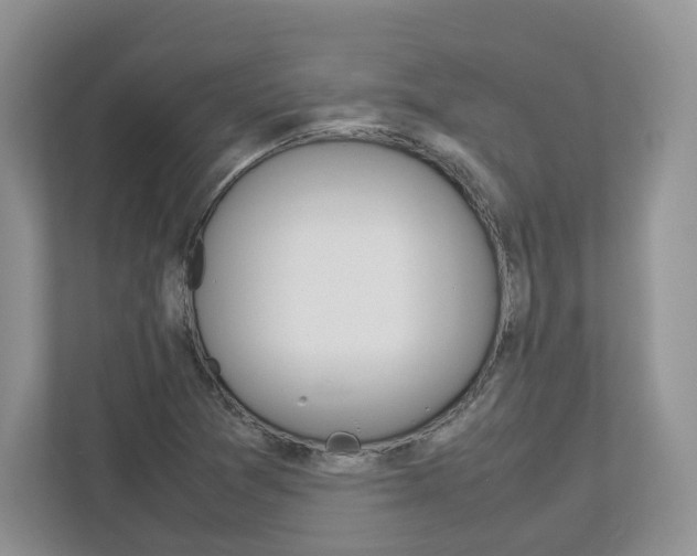 X0000113011361200908270931
