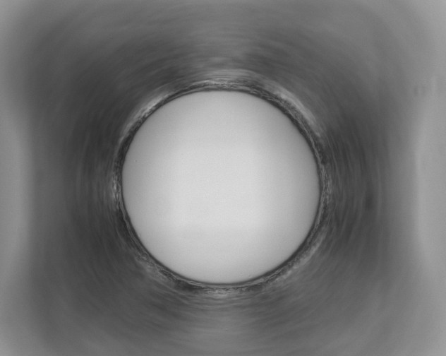 X0000113011362200908270931