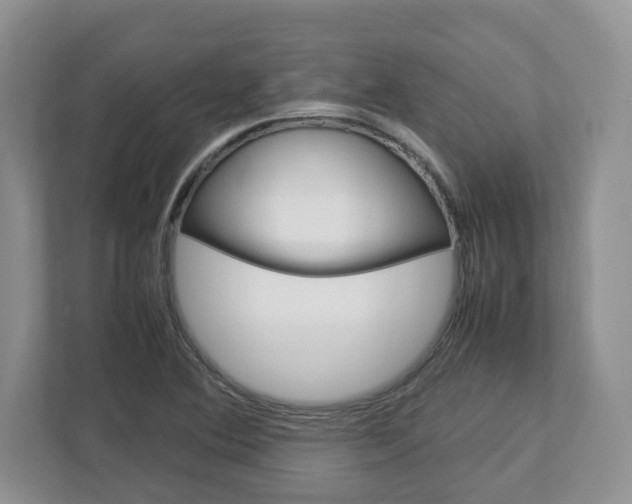 X0000113011364200908270931