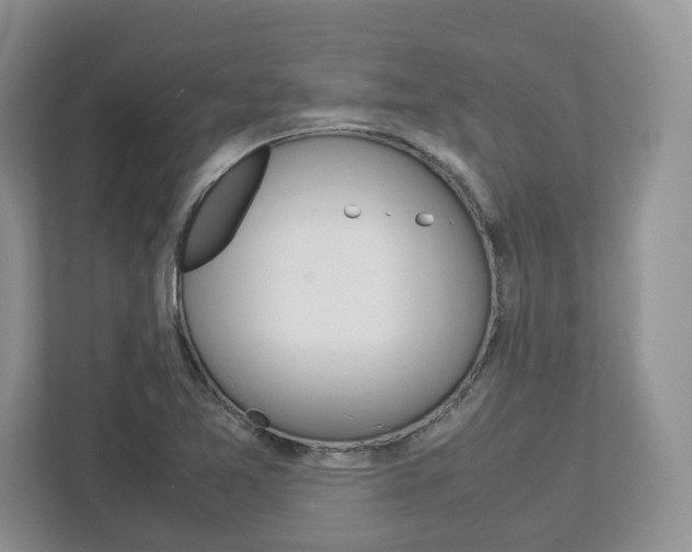 X0000113011365200908270931