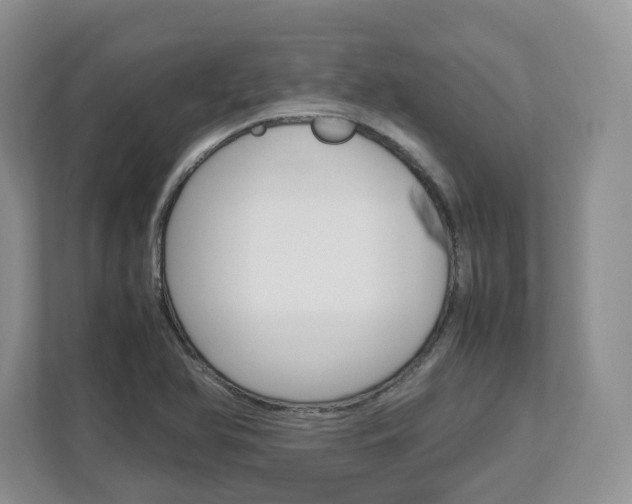X0000113011366200908270931
