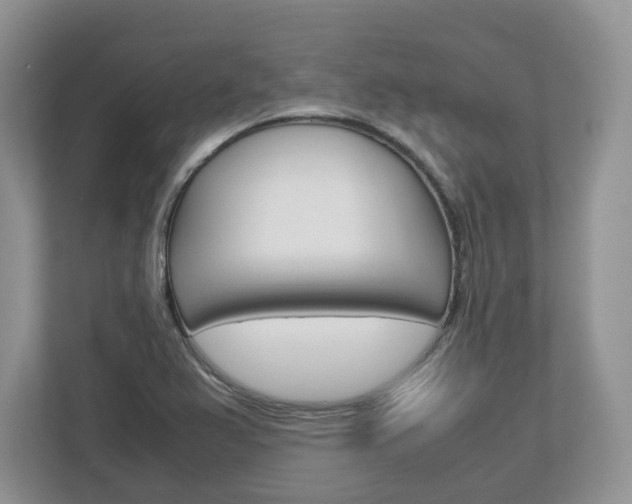 X0000113011367200908270931