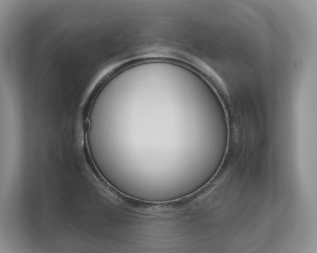 X0000113011368200908270931
