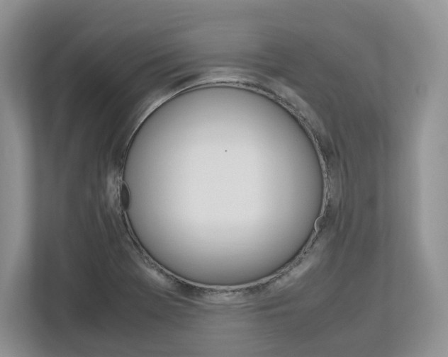 X0000113011369200908270931