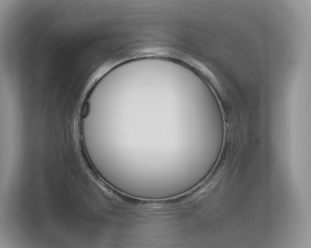 X0000113011373200908270931