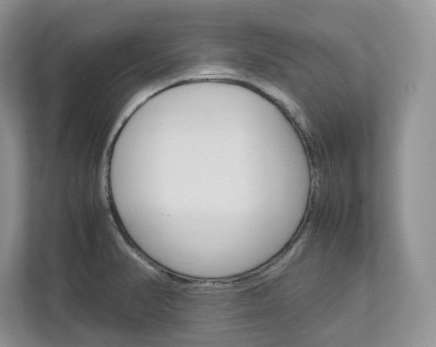 X0000113011374200908270931
