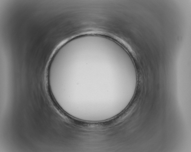 X0000113011375200908270931