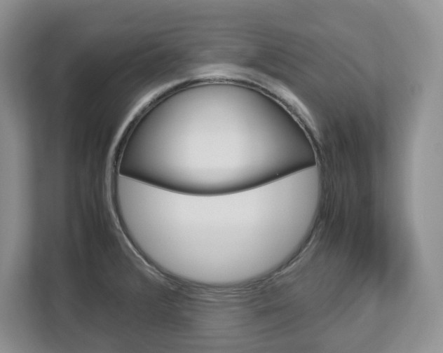 X0000113011376200908270931