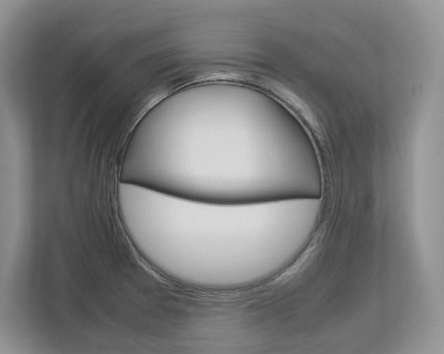 X0000113011377200908270931