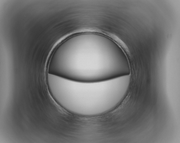 X0000113011380200908270931