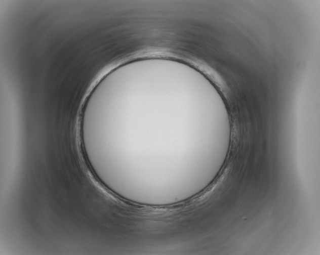 X0000113011382200908270931