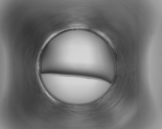 X0000113011383200908270931