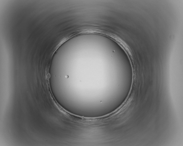X0000113011385200908270931