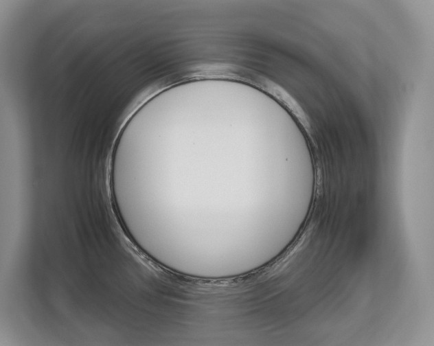 X0000113011386200908270931