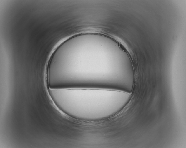 X0000113011387200908270931
